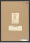 Actinocyclus auciatus Schum. (de-Toni-Nr.: Genus 195, Species 4747) Zeichnungen Sammlung Grunow Nr. 8386 (NHMW-BOT-W0377815)